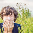 ‘Türkiye’de bahar alerjisi vakaları artıyor’