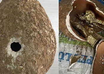 JASAT dedektiflerinden ‘Viking’ operasyonu