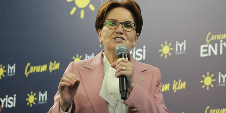 “Atılan oyların sonucunu tartışamazsınız”