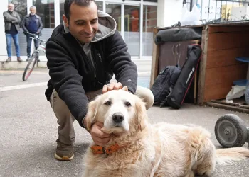 Köpeğin havlaması 700 bin TL’ye patladı