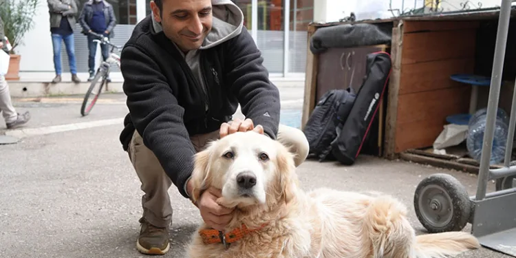 Köpeğin havlaması 700 bin TL’ye patladı
