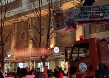 Ağaçta mahsur kalan kediyi itfaiye kurtardı
