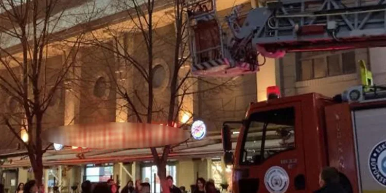 Ağaçta mahsur kalan kediyi itfaiye kurtardı
