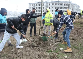 Nilüfer’de çocuklar gelecek için fidan dikti