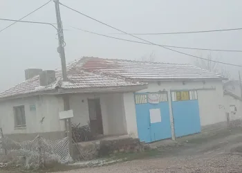 Eskişehir’de sis ve don olayı etkili oldu