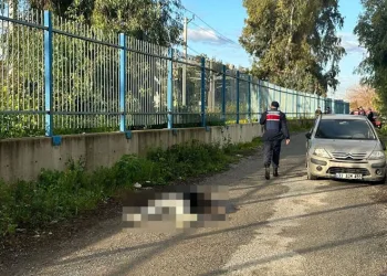 Eski eşini öldüren polis intihar etti