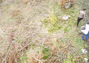 Balıkesir ormanları foto kapanlarla korunuyor