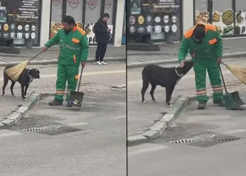 Sokak köpeği ile temizlik görevlisi yüzleri gülümsetti
