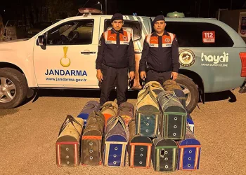 Manisa’da horoz dövüşüne suçüstü