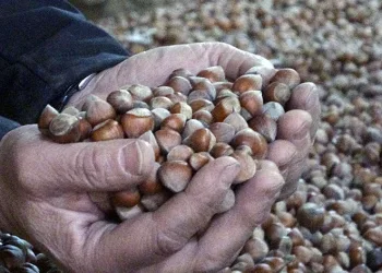 Ramazan pideleri sofraları süsleyecek