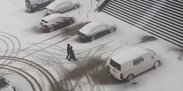 Ağrı’da Mart sonunda kar yağışı