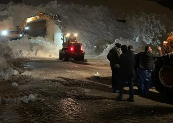 Çığlar ekipleri teyakkuza geçirdi