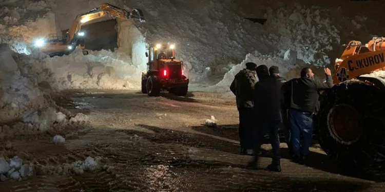 Çığlar ekipleri teyakkuza geçirdi