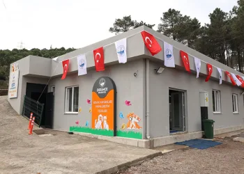 Sokak hayvanlarının mamaları artık bu tesiste üretilecek