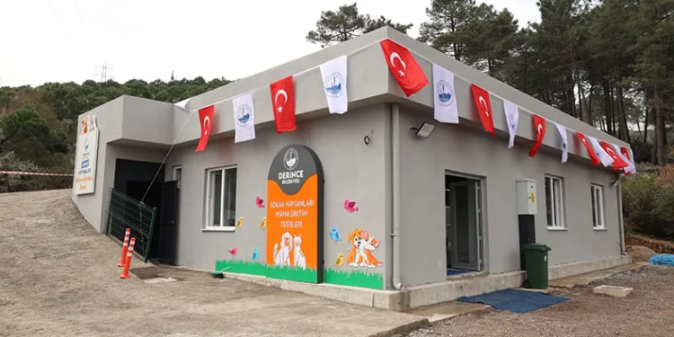 Sokak hayvanlarının mamaları artık bu tesiste üretilecek