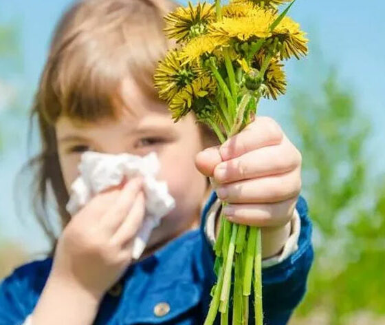 İlkbaharın gelmesiyle alerji şikayetleri arttı