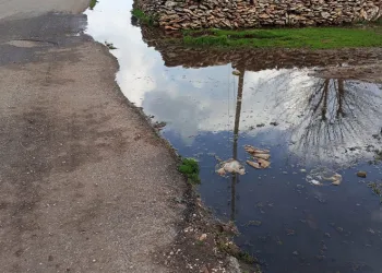 Mahalle sakinleri eksikliklerinin giderilmesini bekliyor