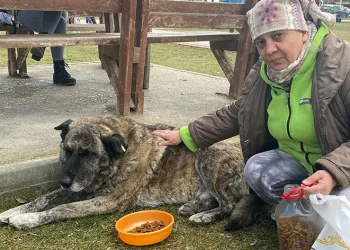 22 yıldır sokak hayvanlarını besliyor