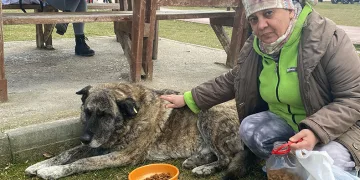 22 yıldır sokak hayvanlarını besliyor