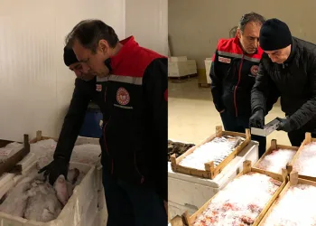 İstanbul’da yasa dışı ticari avcılık denetimi