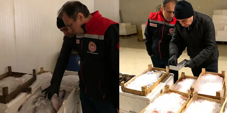 İstanbul’da yasa dışı ticari avcılık denetimi
