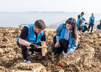 Çanakkale’de 1000 fidanlık orman