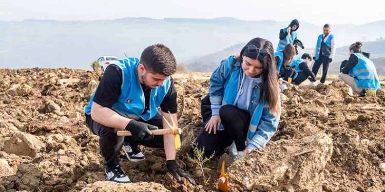 Çanakkale’de 1000 fidanlık orman