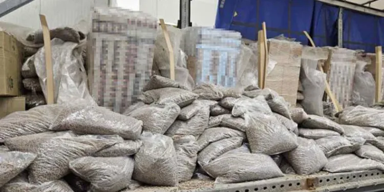 Gümrükte 116 bin 150 paket kaçak sigara yakalandı