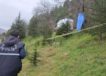 Ağaçta asılı bulundu, kimliği araştırılıyor