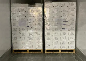 Söke’nin balıkları, Hollanda yolcusu
