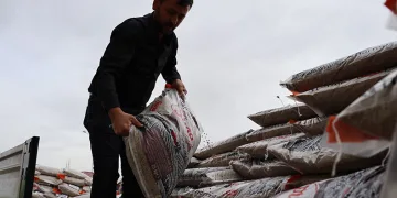Yerli üretim tohum sevinci