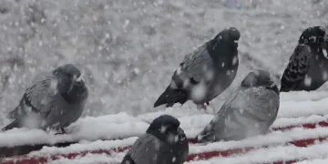 Ardahan beyaza büründü