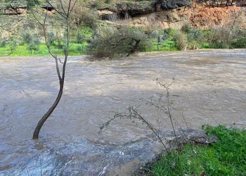 Şiddetli yağışla birlikte derelerin debisi yükseldi
