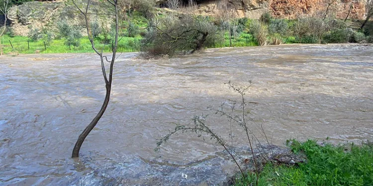 Şiddetli yağışla birlikte derelerin debisi yükseldi