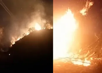 Rize’de ormanlık alanda yangın çıktı