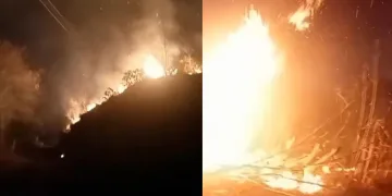 Rize’de ormanlık alanda yangın çıktı