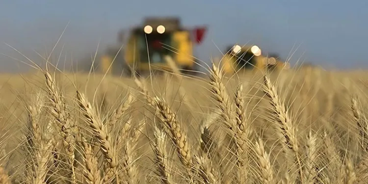 Tarım-ÜFE yıllık yüzde 58,29 arttı