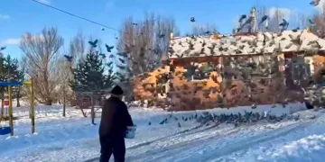 Ömrünün yarısını onları besleyerek geçirdi