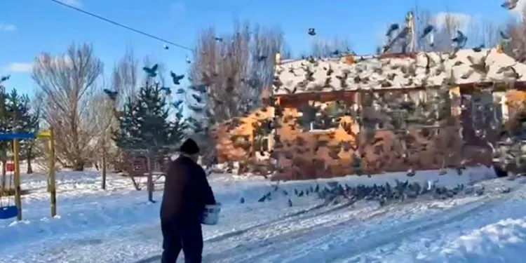Ömrünün yarısını onları besleyerek geçirdi