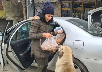 Sokak hayvanlarını 5 yıldır gönüllü besliyor