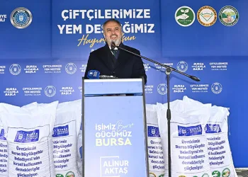 Büyükşehir’den besiciye yem desteği