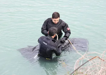Yaşlı adam sulama kanalında ölü bulundu