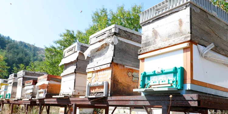 ‘Karaçalı’ balının coğrafi işareti için çalışma yapılacak