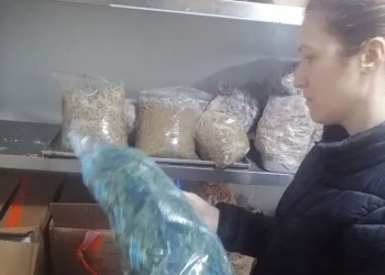Söke’de öğrenci yurtlarında gıda denetimi