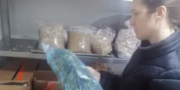 Söke’de öğrenci yurtlarında gıda denetimi