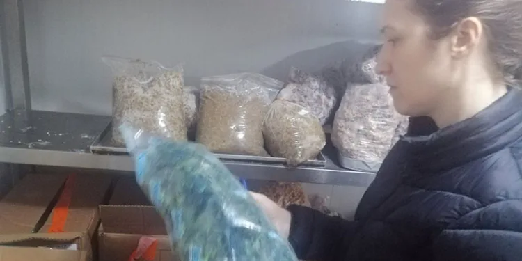 Söke’de öğrenci yurtlarında gıda denetimi