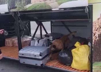 Valizden 21 kilo esrar çıktı