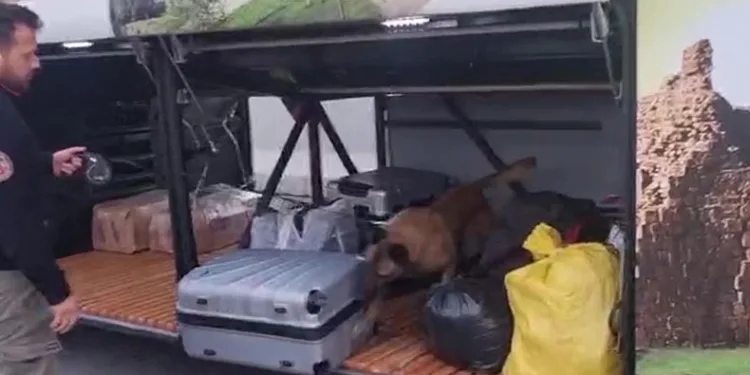 Valizden 21 kilo esrar çıktı
