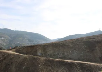 Yangınlarda yok olan alanlar yeniden ağaçlandırılıyor
