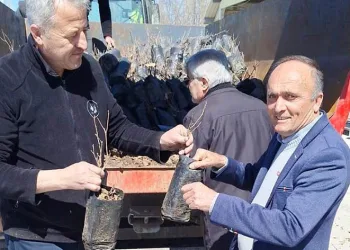 Hisarcık’ta bin 800 meyve fidanı dağıtıldı